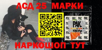 индика Кулебаки